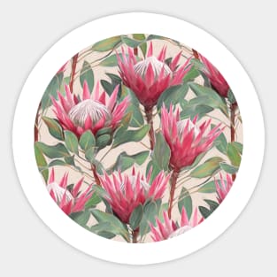 Painted King Proteas Sticker